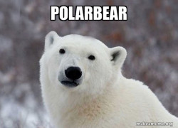 Popular Opinion Polar Bear