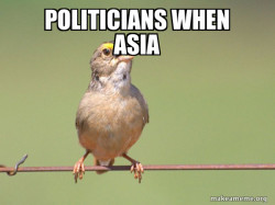 Common Opinion Sparrow