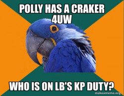 Paranoid Parrot knew that the MED was stolen 502 times in the US.