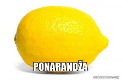 Lemon