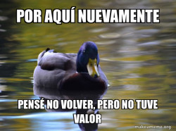 Zen Advice Mallard