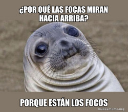 FOCAAAAAAAAAAAAAAAAAAAAAAAAAAAAAAAAAA