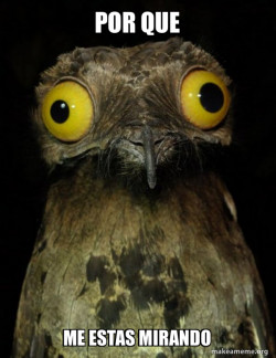 Weird Stuff I do Potoo