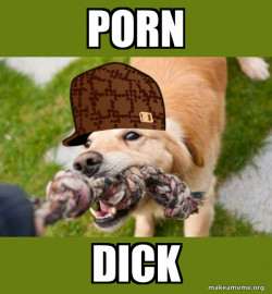 Scumbag dog