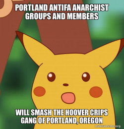 Portland Antifa Anarchist groups and members will smash the Hoover Crips Gang of Portland, Oregon
