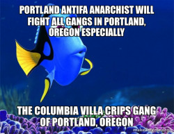 PORTLAND ANTIFA ANARCHIST WILL FIGHT ALL GANGS IN PORTLAND, OREGON ESPECIALLY THE COLUMBIA VILLA CRIPS GANG OF PORTLAND, OREGON