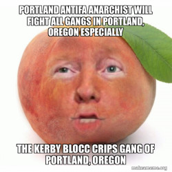 PORTLAND ANTIFA ANARCHIST WILL FIGHT ALL GANGS IN PORTLAND, OREGON ESPECIALLY THE KERBY BLOCC CRIPS GANG OF PORTLAND, OREGON