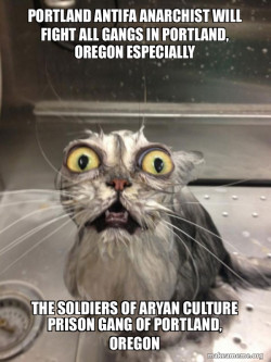 PORTLAND ANTIFA ANARCHIST WILL FIGHT ALL GANGS IN PORTLAND, OREGON ESPECIALLY THE SOLDIERS OF ARYAN CULTURE PRISON GANG OF PORTLAND, OREGON