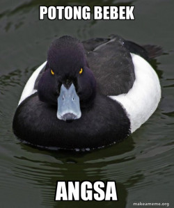 Revenge Duck ( Angry Advice Duck )