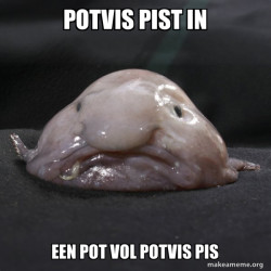 Blobfish