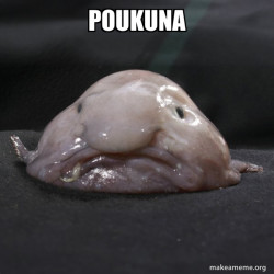 Blobfish