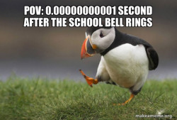 Unpopular Opinion Puffin