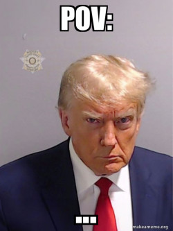 Donald Trump Mugshot
