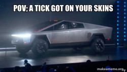 Tesla Truck