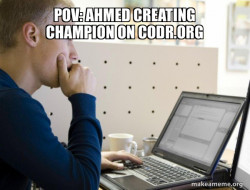 Programmer