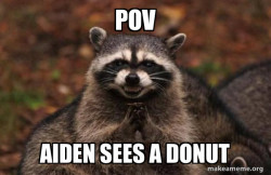 Evil Plotting Raccoon
