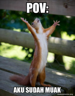 Happy Squirrel