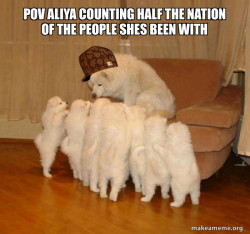 Scumbag Storytelling Dog