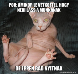 Hairless Cat