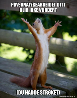 Happy Squirrel