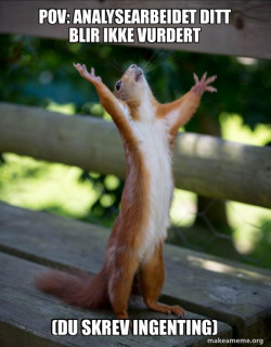 Happy Squirrel