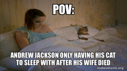 Cats are peak