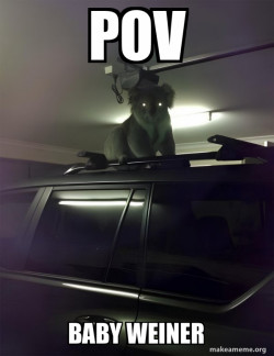 Drop Bear