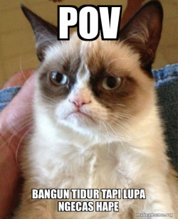 Grumpy Cat
