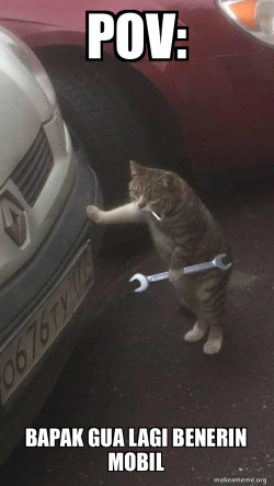 Mechanic Cat