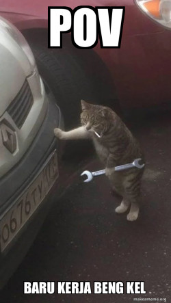 Mechanic Cat