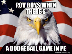 American Pride Eagle