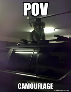 Drop Bear
