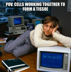 Sexy Bill Gates