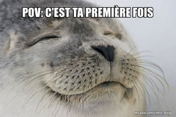 Satisfied Seal