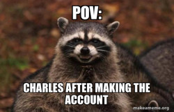Evil Plotting Raccoon