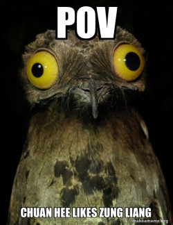 Weird Stuff I do Potoo
