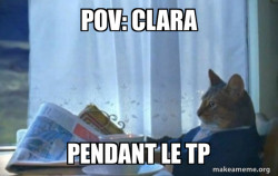 Sophisticated Cat