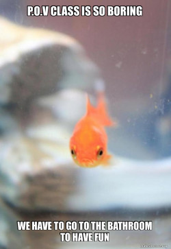 Grumpy Fish