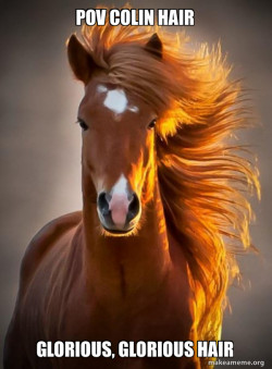 Ridiculously photogenic horse