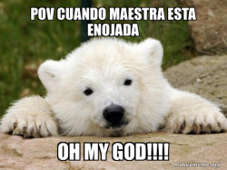 Popular Opinion Bear
