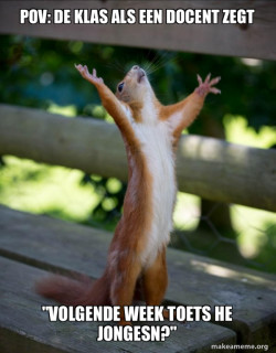 Happy Squirrel
