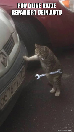 Mechanic Cat