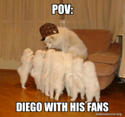 Scumbag Storytelling Dog