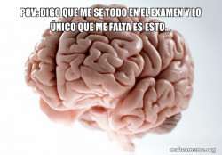 Scumbag Brain