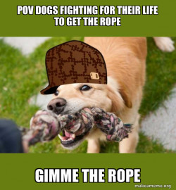 Scumbag dog