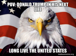 American Pride Eagle