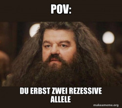 Hagrid - I should not have said that