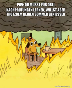 This Is Fine