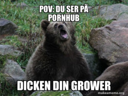 Sarcastic Bear