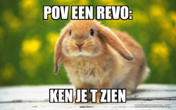 Regretful Rabbit